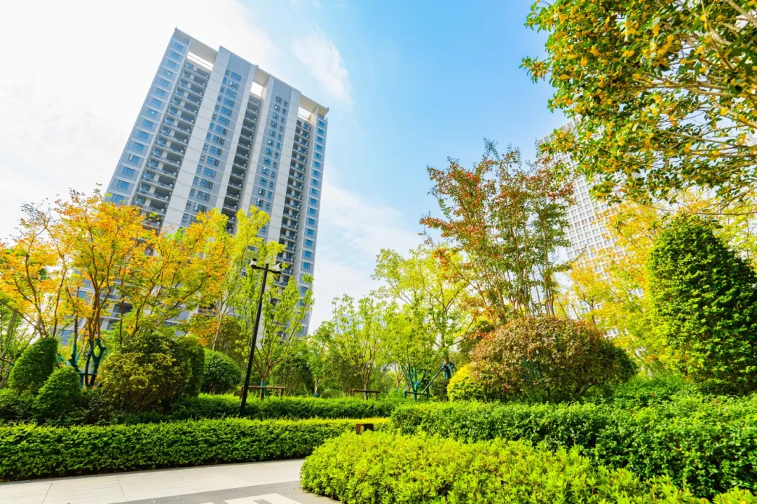 新锦江网址(中国游)有限公司官方